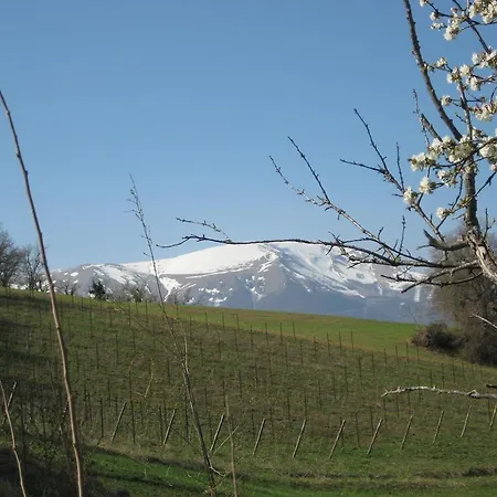 Alloggio per agriturismo Serpanera Sarnano