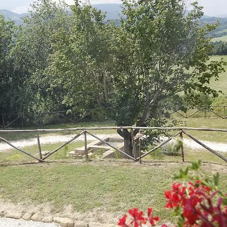Farm stay Serpanera