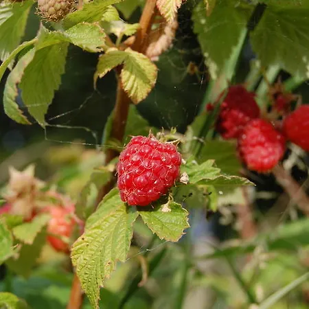 Alloggio per agriturismo Serpanera Sarnano