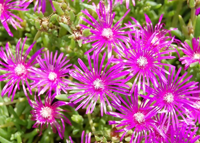 Séjour à la ferme Serpanera