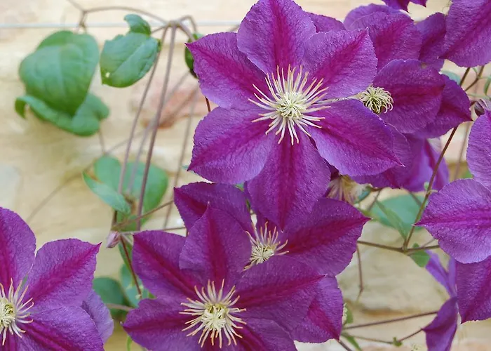 Séjour à la ferme Serpanera Sarnano