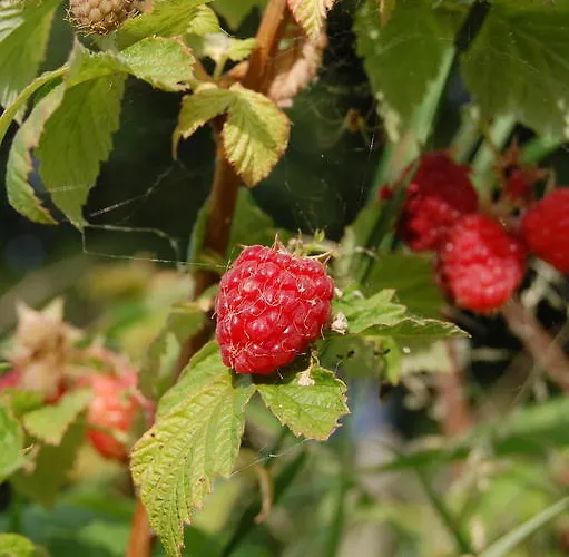 Séjour à la ferme Serpanera Sarnano
